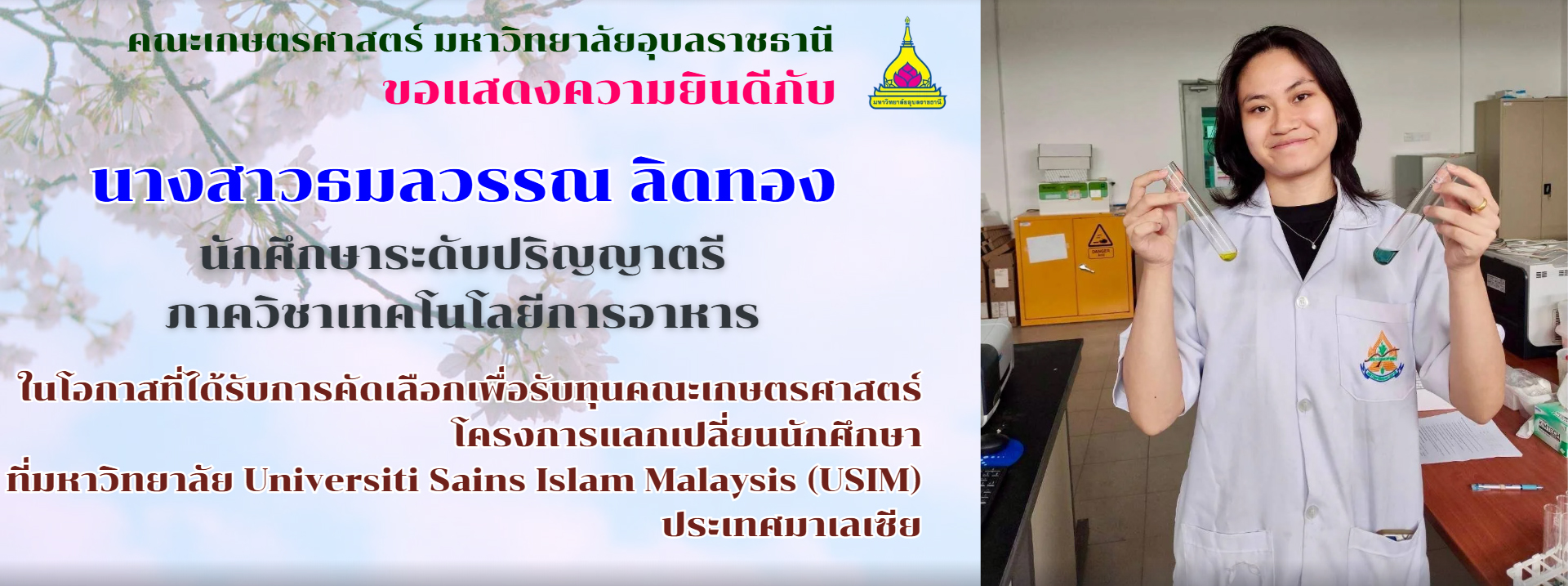 First slide