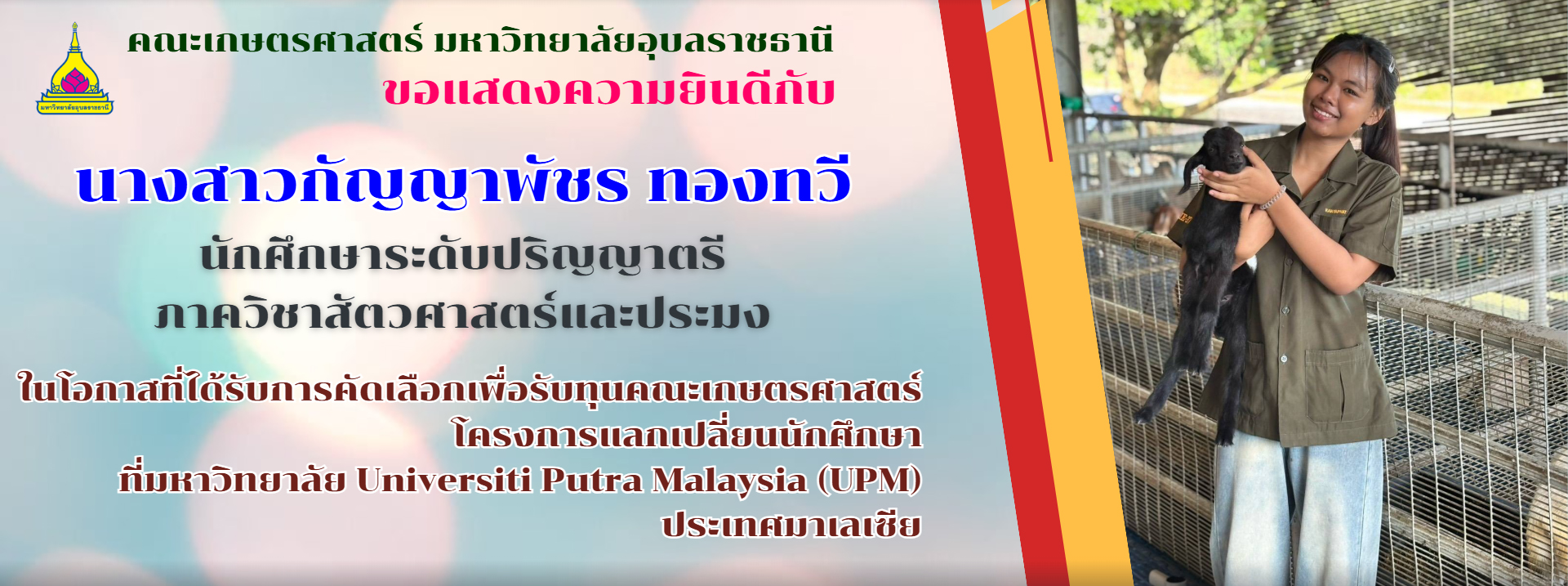 First slide
